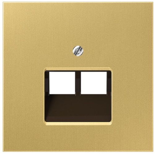 Лицевая панель Jung LS990 metal для 2-м. розетки RJ11/RJ45 латунь картинка